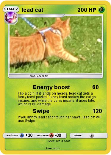 Pokemon lead cat