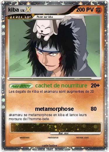 Pokemon kiba