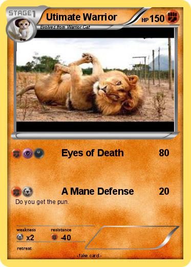 Pokemon Utimate Warrior
