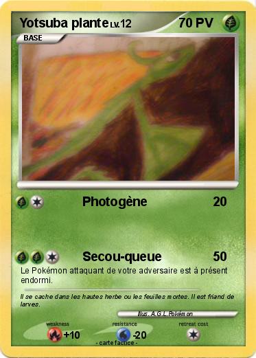 Pokemon Yotsuba plante