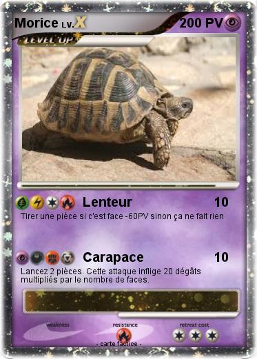 Pokemon Morice