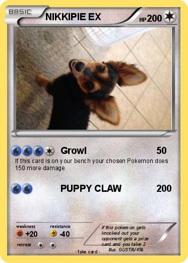 Pokemon NIKKIPIE EX