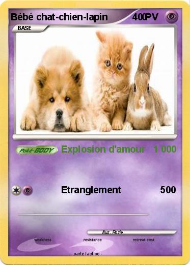 Pokemon Bébé chat-chien-lapin             0