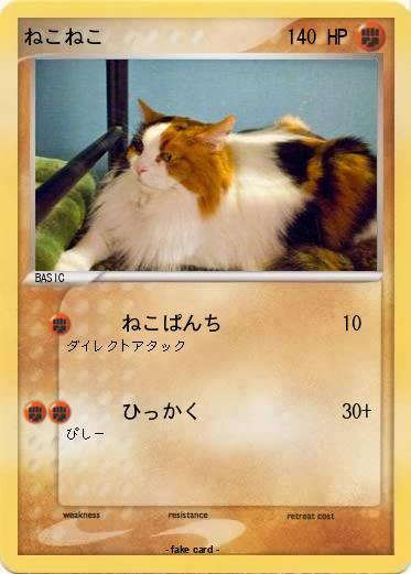 Pokemon ねこねこ