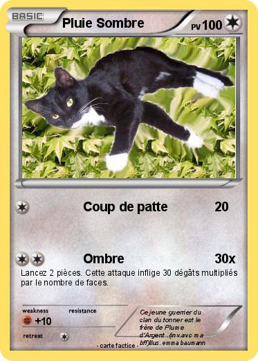 Pokemon Pluie Sombre