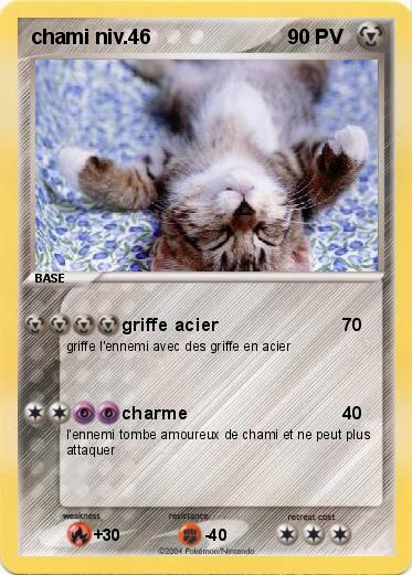 Pokemon chami niv.46