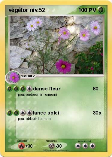 Pokemon végétor niv.52