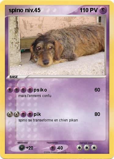 Pokemon spino niv.45