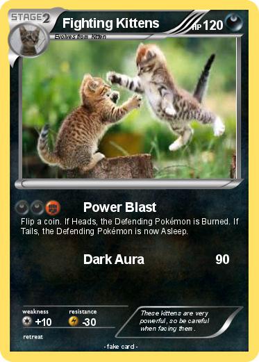 Pokemon Fighting Kittens