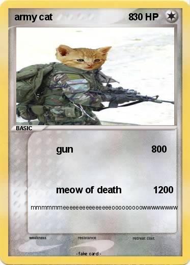 Pokemon army cat                             8