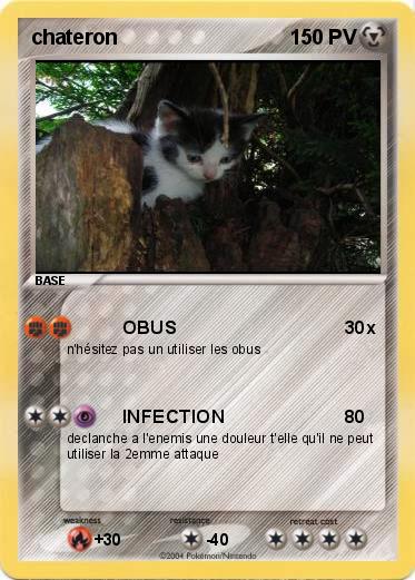 Pokemon chateron