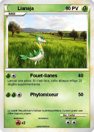Pokemon Lianaja