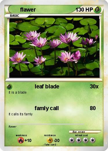 Pokemon flawer