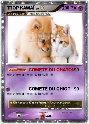 Pokemon TROP KAWAÏ