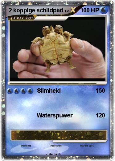 Pokemon 2 koppige schildpad