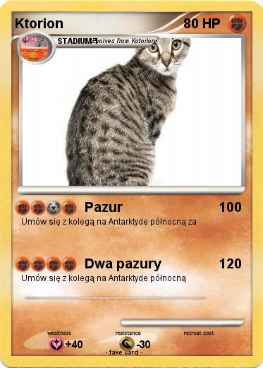 Pokemon Ktorion