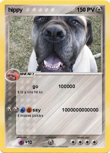 Pokemon hippy
