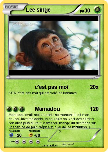 Pokemon Lee singe