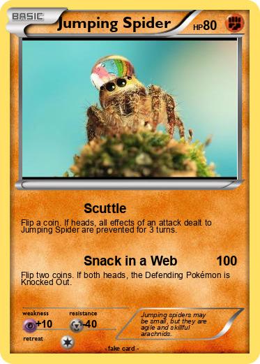 Pokemon Jumping Spider