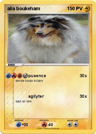 Pokemon alia boukeham