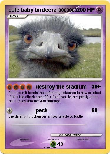 Pokemon cute baby birdee