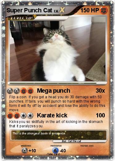 Pokemon Super Punch Cat
