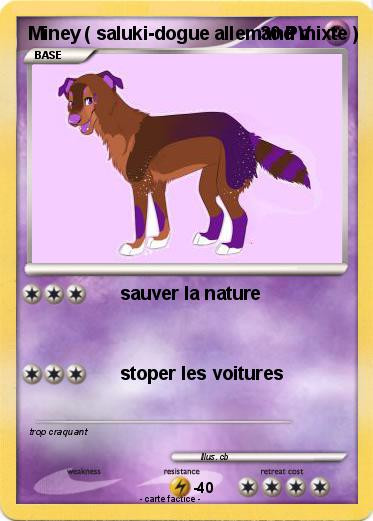 Pokemon Miney ( saluki-dogue allemand mixte )