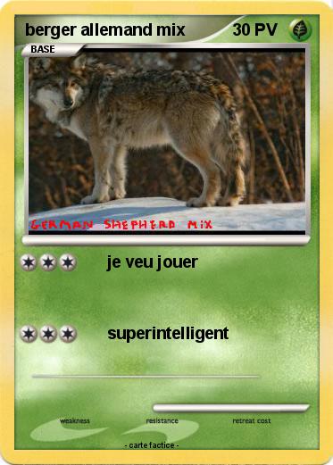 Pokemon berger allemand mix