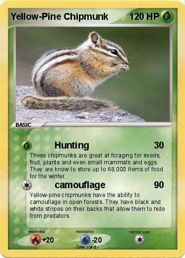 Pokemon Yellow-Pine Chipmunk