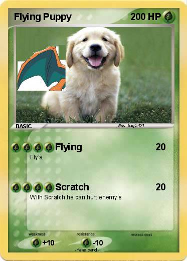 Pokemon Flying Puppy
