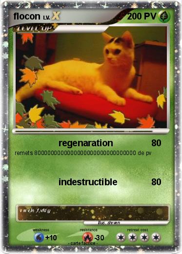 Pokemon flocon