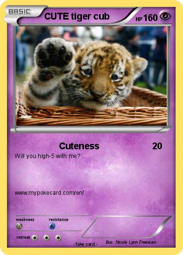 Pokemon CUTE tiger cub