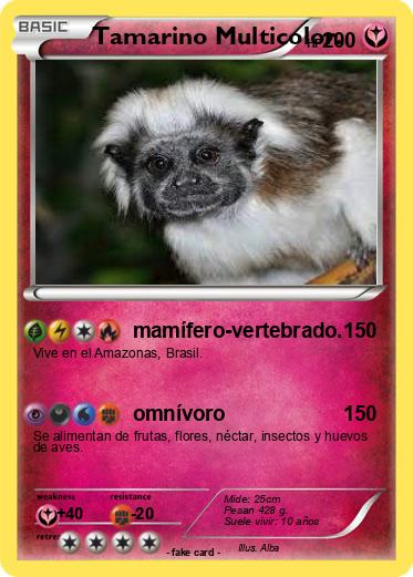 Pokemon Tamarino Multicolor.