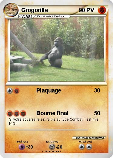 Pokemon Grogorille