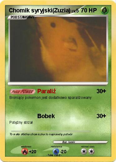 Pokemon Chomik syryjski(Zuzia)