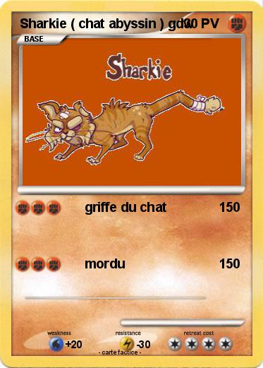 Pokemon Sharkie ( chat abyssin ) gdw