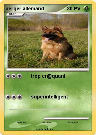 Pokemon berger allemand