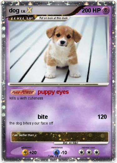 Pokemon dog