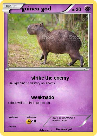 Pokemon guinea god