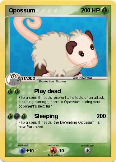 Pokemon Opossum