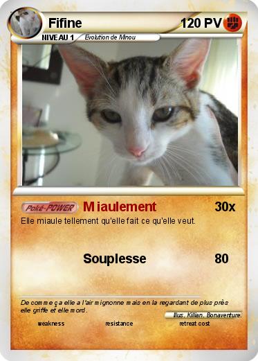 Pokemon Fifine