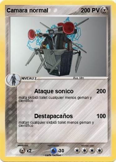 Pokemon Camara normal