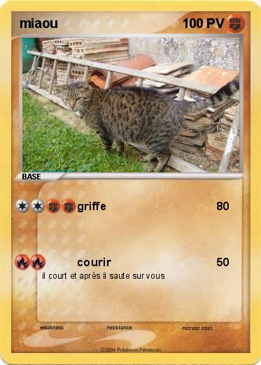 Pokemon miaou