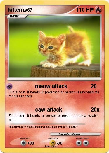 Pokemon kitten