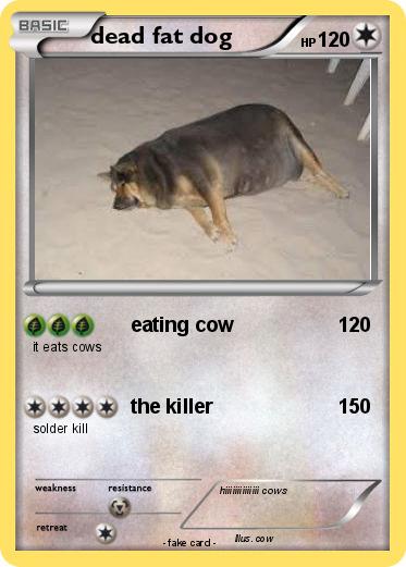 Pokemon dead fat dog