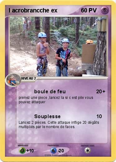 Pokemon l acrobrancche ex
