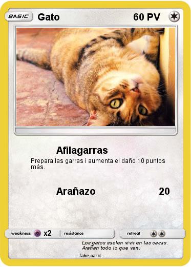 Pokemon Gato