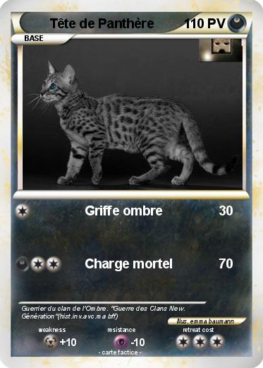 Pokemon Tête de Panthère