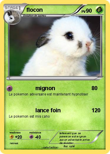 Pokemon flocon