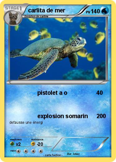 Pokemon carlita de mer